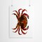 Crab by Chaos &#x26; Wonder Design  Poster Art Print - Americanflat